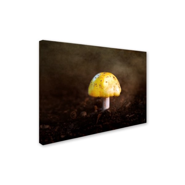 Jai Johnson 'Little Yellow Mushroom' Canvas Art,18x24